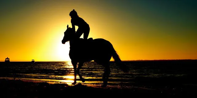 【京成杯2018予想】成長段階のロジティナ、早めの追い出しで初V狙う！