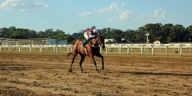 ナムラビクター、北海道の門別競馬へ移籍！