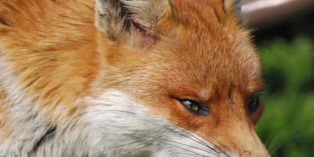 2歳重賞競走の拡充でクラシックの本賞金争いが熾烈に。