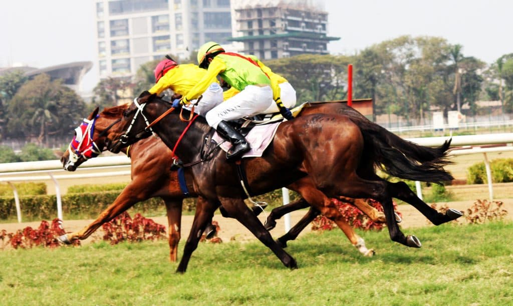 アーリントンカップ(G3)有力馬情報・アーバンキッド