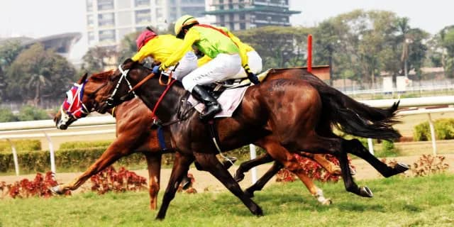 アーリントンカップ(G3)有力馬情報・アーバンキッド