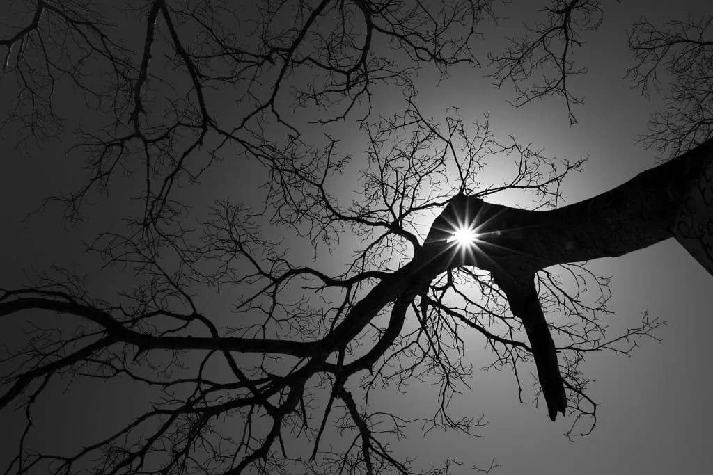 ラングレー洛陽S快勝でマイル界の新星へ