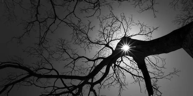 ラングレー洛陽S快勝でマイル界の新星へ