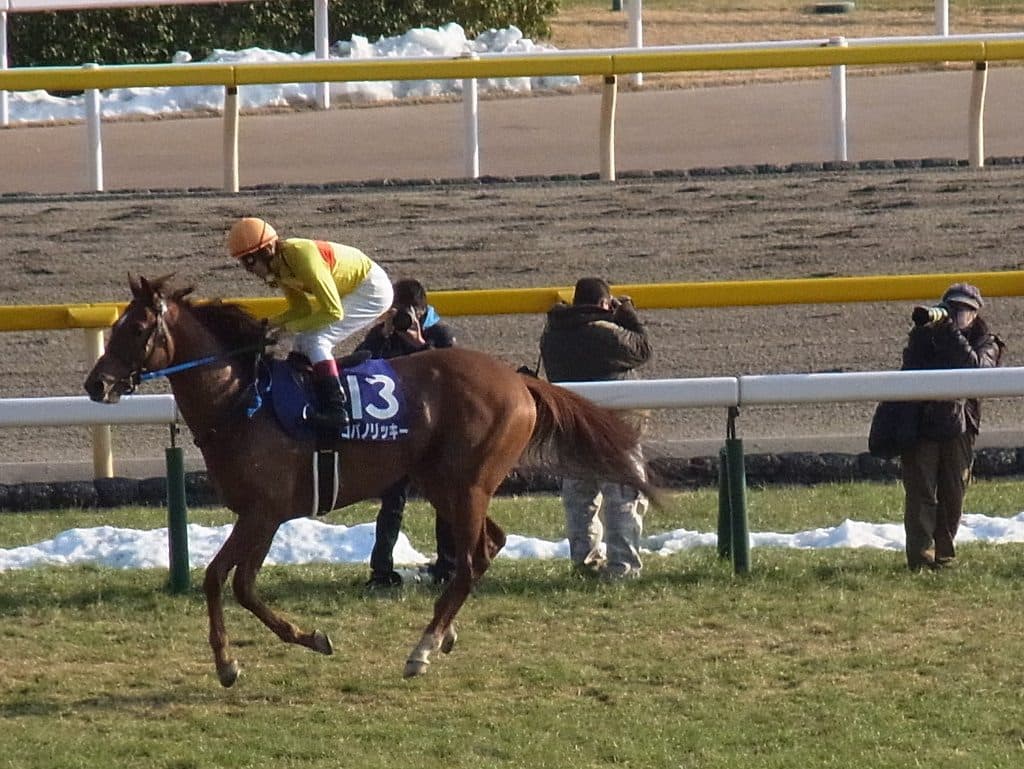 【フェブラリーS予想2016】今年も前残り？ノンコノユメの脚は届かない