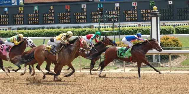 共同通信杯(G3)注目馬情報・リスペクトアース