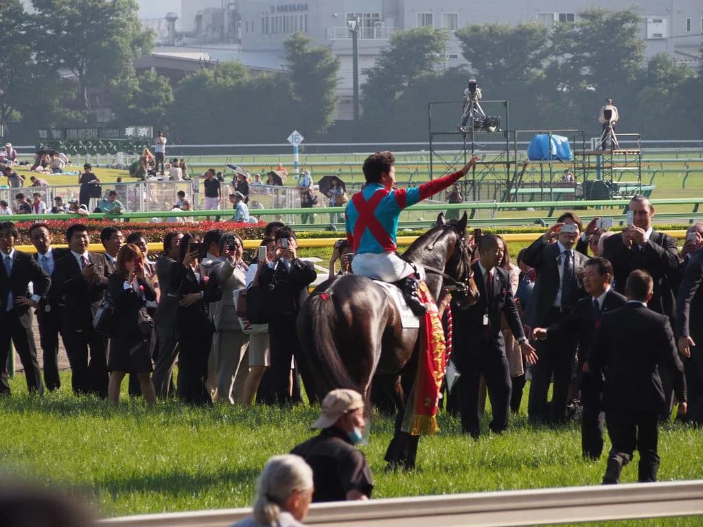 【京都記念2016予想】脱・一発屋！バレンタインはワンアンドオンリー