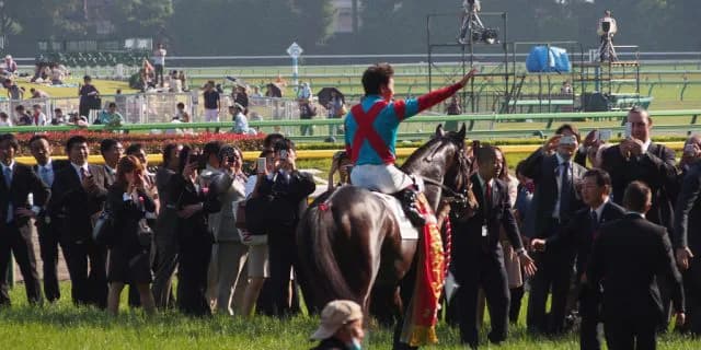 【京都記念2016予想】脱・一発屋！バレンタインはワンアンドオンリー