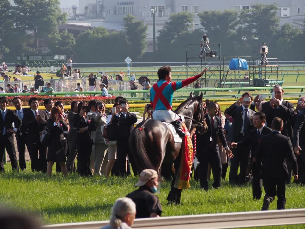 【京都記念2016予想】脱・一発屋！バレンタインはワンアンドオンリー