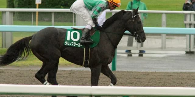 【佐賀記念2016予想】重賞3勝のクリノスターオー、ここは負けられない