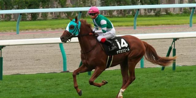 【京都記念有力馬情報】ヤマカツエースの不安要素