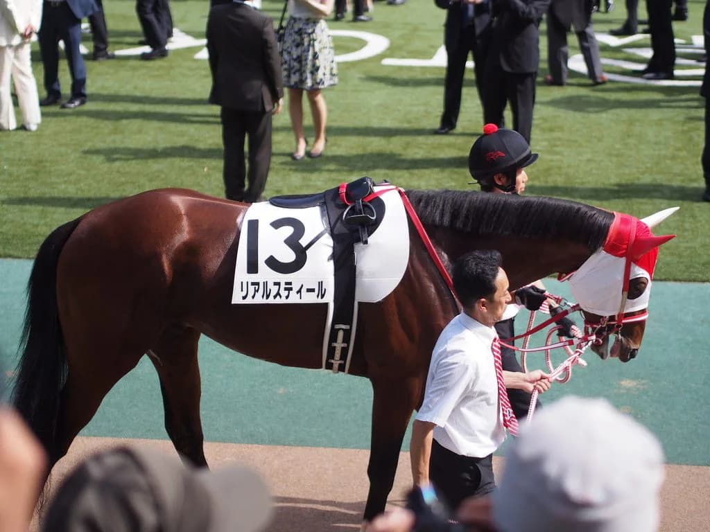 【中山記念2016予想】リアル・福永コンビ、ここも「安全騎乗」か？
