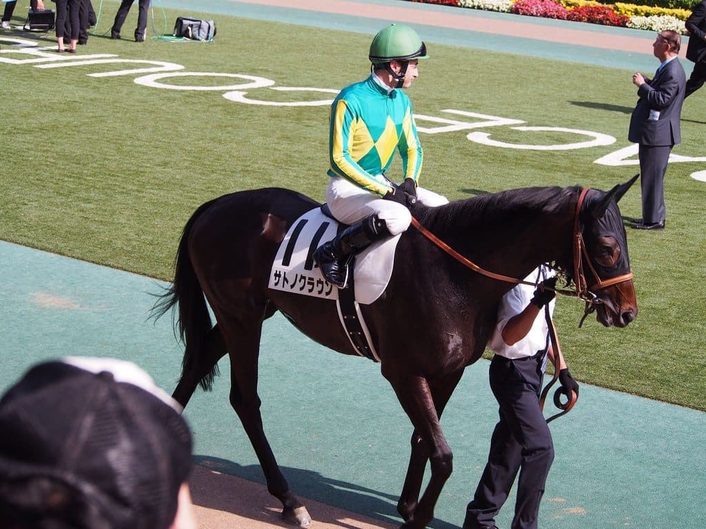 【京都記念2016回顧】馬場適正がしっかり結果に出たサトノクラウンの快勝