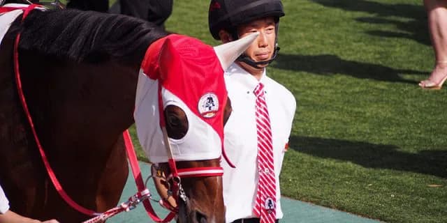 【中山記念2016予想】万年2着コンビの快進撃なるか？