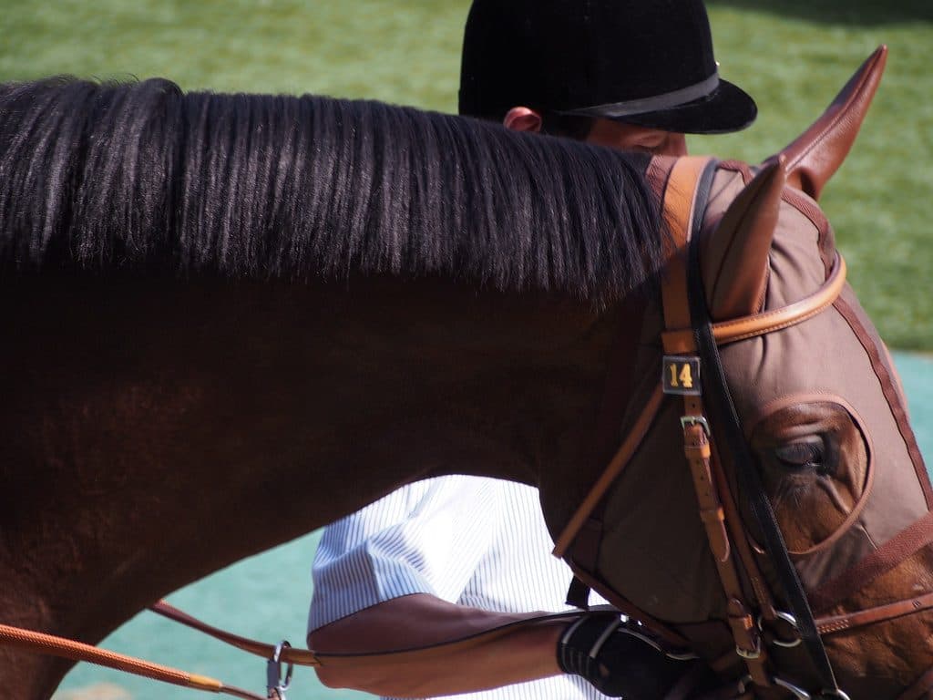 【中山記念2016回顧】休養明けの好走目立ち、叩きニ走目に期待