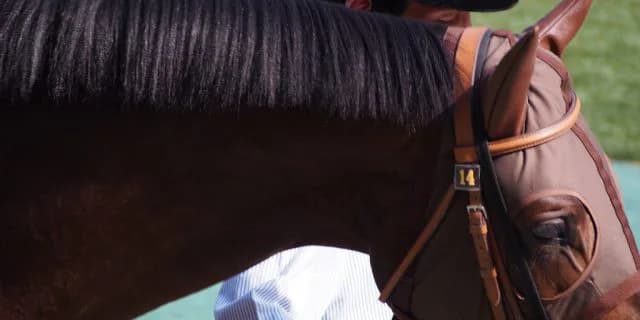 【中山記念2016回顧】休養明けの好走目立ち、叩きニ走目に期待