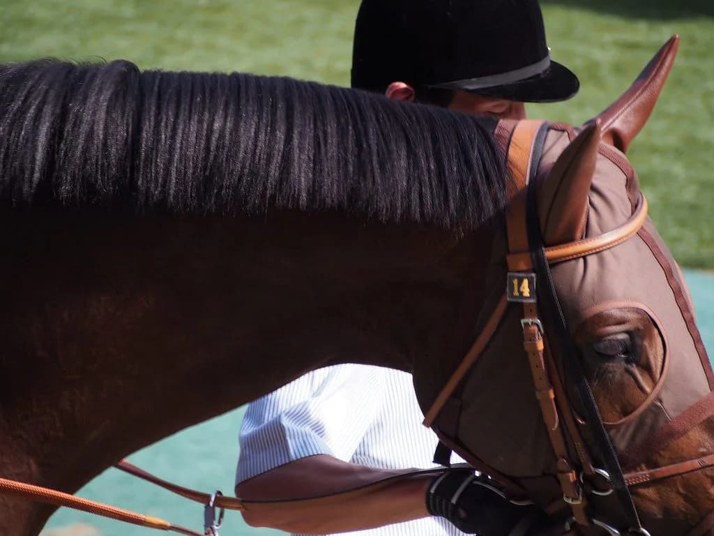 【中山記念2016予想】意外に危険？ドゥラメンテには不安要素が多い