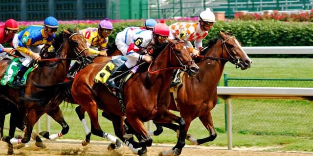 【大阪杯2016予想】G1顔負けの大阪杯、馬券の妙味で牝馬に！