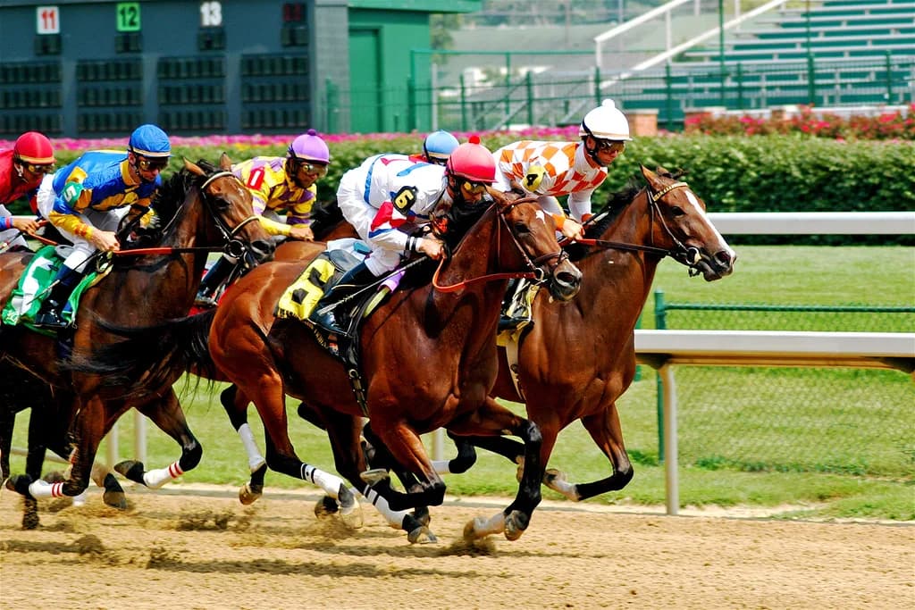 【大阪杯2016予想】G1顔負けの大阪杯、馬券の妙味で牝馬に！