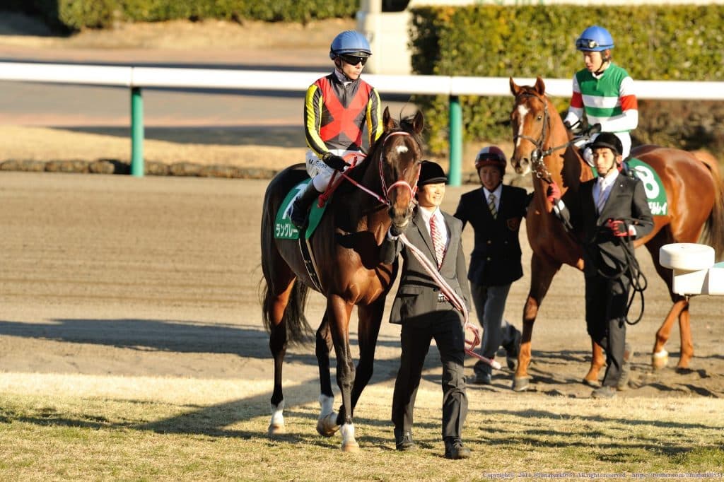 【都大路S予想2016】G1開催週のオープン競争が熱い