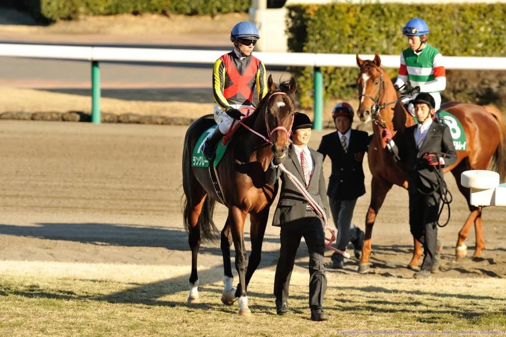 【都大路S予想2016】G1開催週のオープン競争が熱い