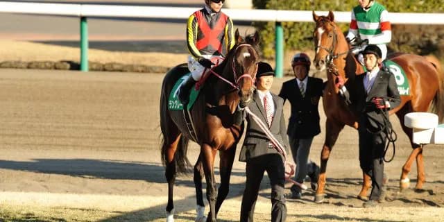 【洛陽S予想2016】ようやく適条件を見つけたラングレーの連勝機。