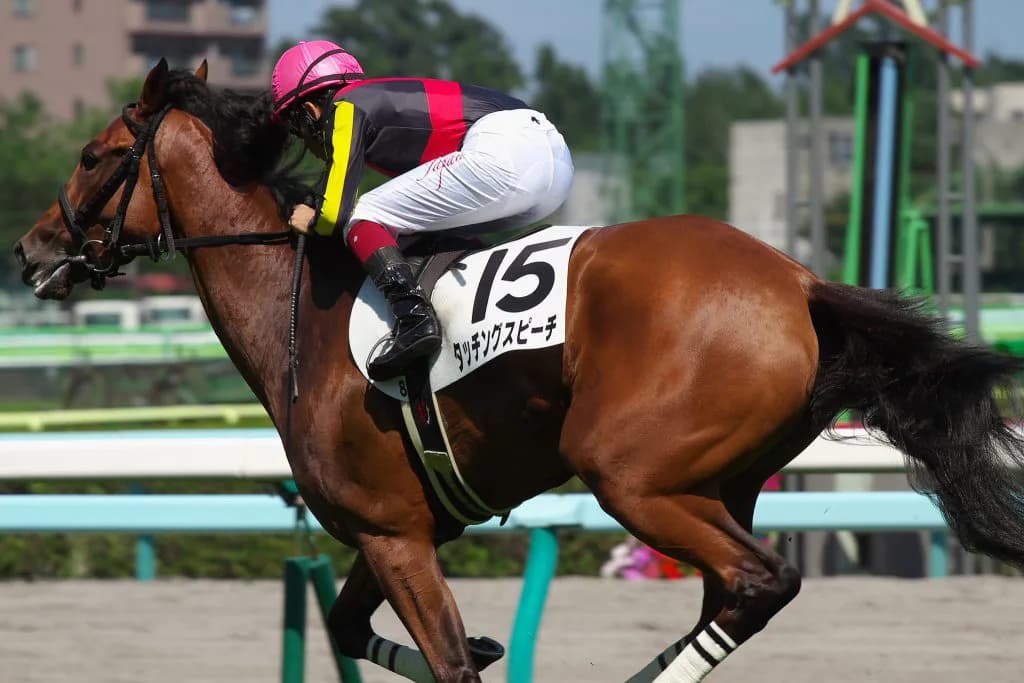 京都記念(G2)有力馬情報・タッチングスピーチ