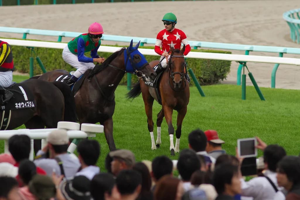 【京都牝馬S予想】レッドオーヴァルのラストラン、重賞タイトルを花嫁道具に