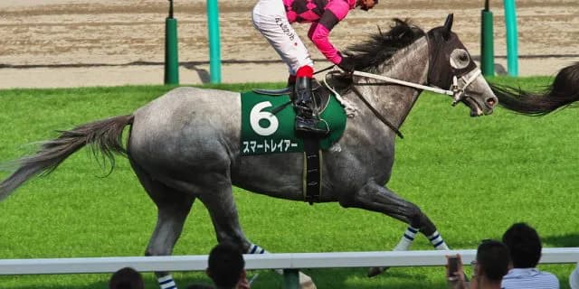 【東京新聞杯2016回顧】スマートレイアーがハナを叩き牡馬達を一蹴！