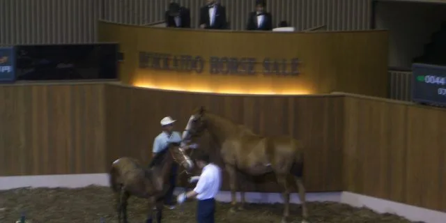 クラブ馬主参入のDMM.com、3億7000万円でディープインパクト産駒を落札!