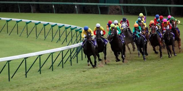 競馬はギャンブルなのか？スポーツなのか？