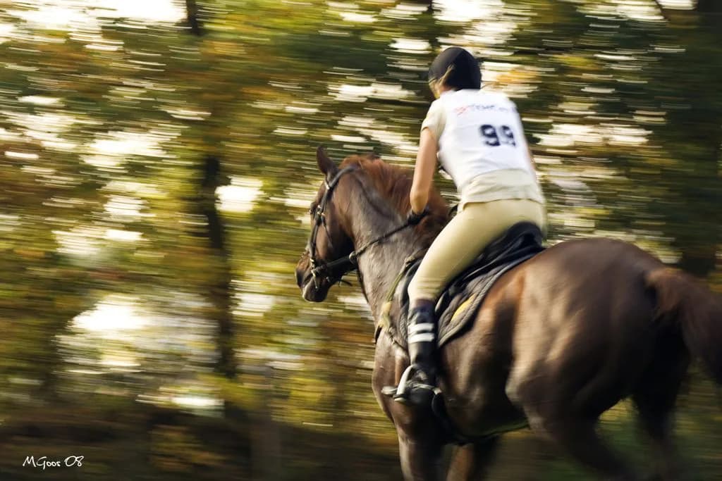 【共同通信杯有力馬情報】クラシックの登竜門に期待のホープ・ハートレー出走