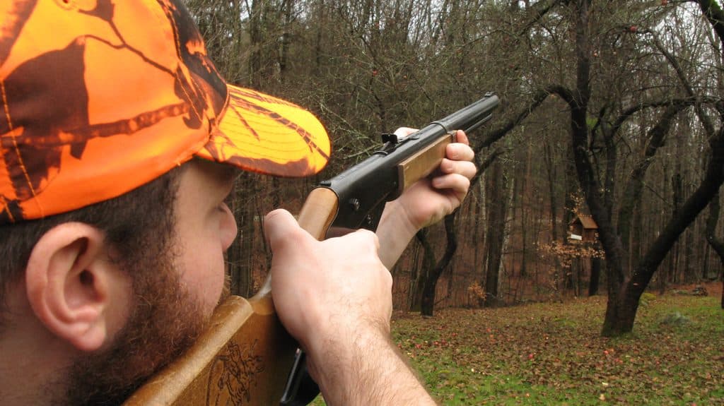 【2/13(土)京都12R】クラウディオスで大逆転を狙う！