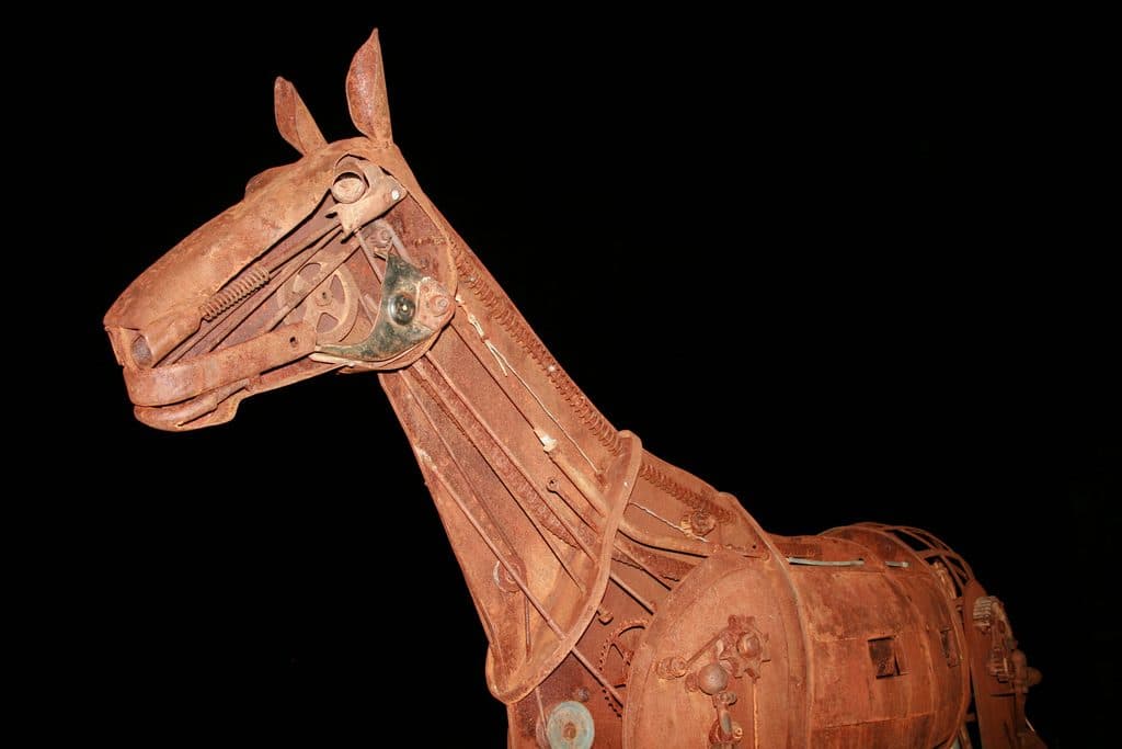 京都記念(G2)注目馬情報・遅めの本格化到来？ヒストリカルに注目