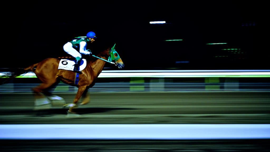 道悪適性を遺憾なく発揮したトゥインクルの強さ際立つダイヤモンドS