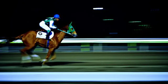 道悪適性を遺憾なく発揮したトゥインクルの強さ際立つダイヤモンドS