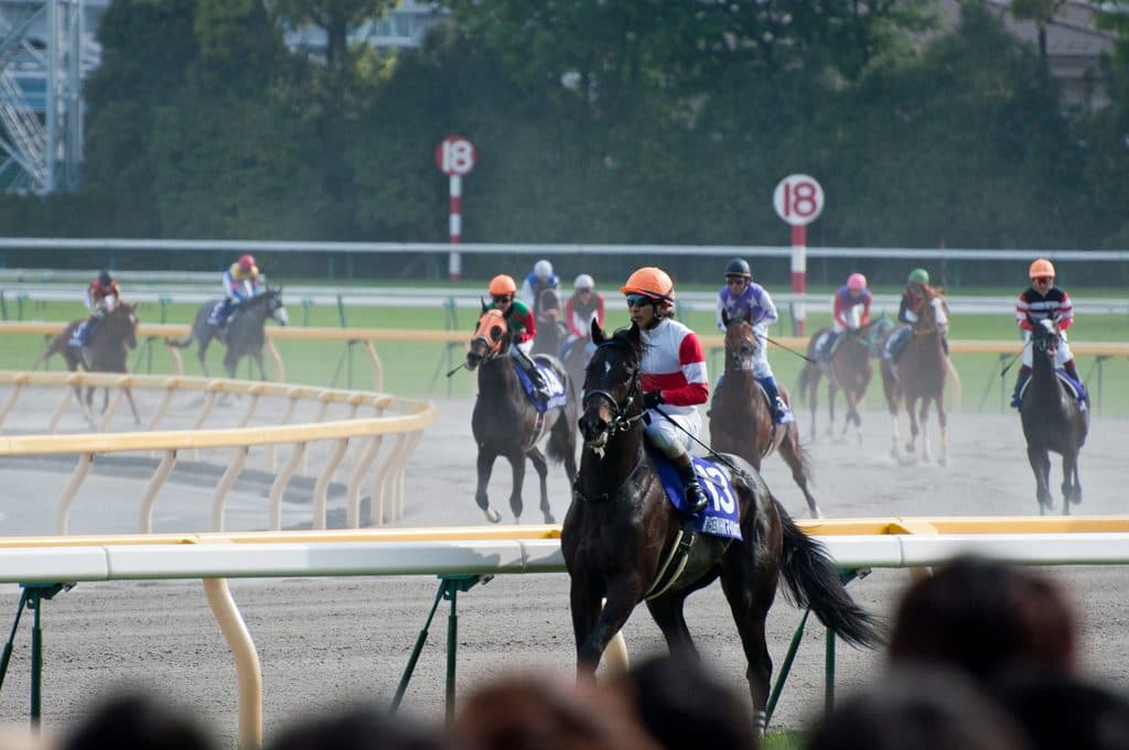 【フェブラリーS予想2017】未だ鞍上未定のカフジテイクとサウンドトゥルー。雲行き怪しい2017年初のG1