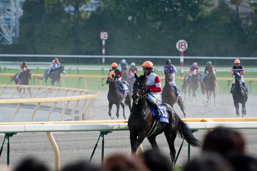 【フェブラリーS予想2017】未だ鞍上未定のカフジテイクとサウンドトゥルー。雲行き怪しい2017年初のG1