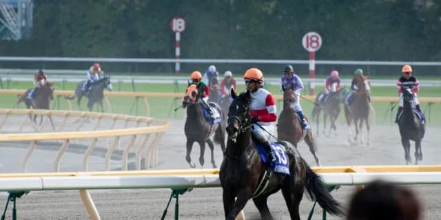 【フェブラリーS予想2017】未だ鞍上未定のカフジテイクとサウンドトゥルー。雲行き怪しい2017年初のG1