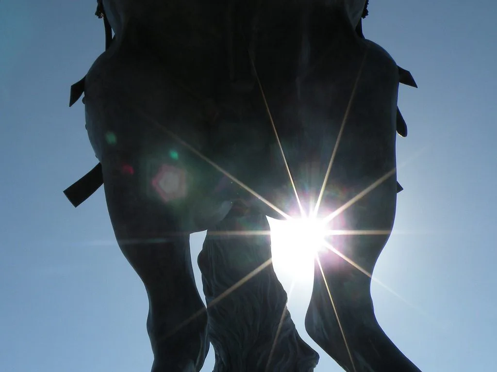 【朝日杯FS予想2017】狙うなら今！？新潟2歳Sで1番人気だったムスコローソ