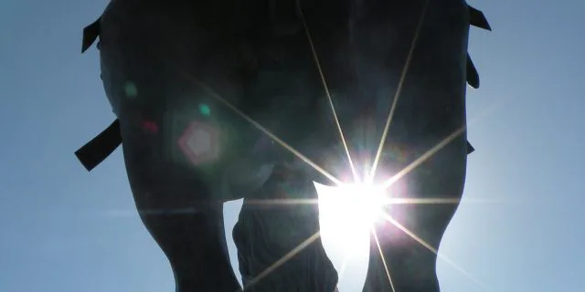 【函館スプリントS2017予想】絶好のねらい目はジューヌエコール、古馬陣を一蹴できるか？