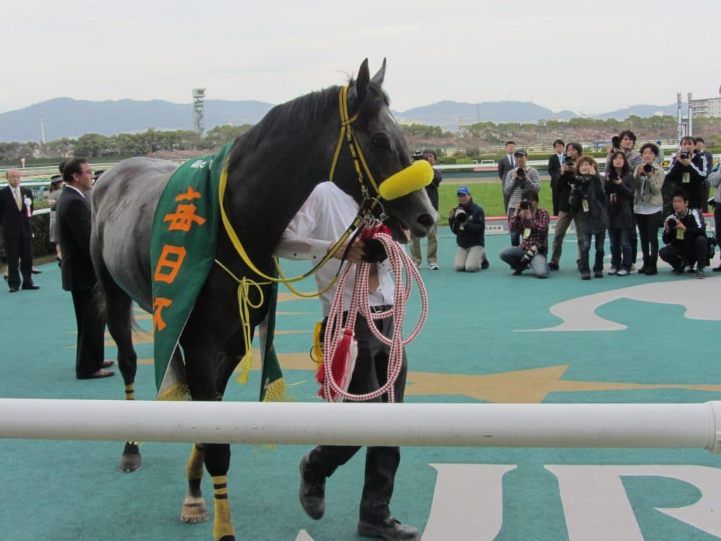【小倉記念2016】マイネルフロストと共に偉業達成なるか蛯名騎手