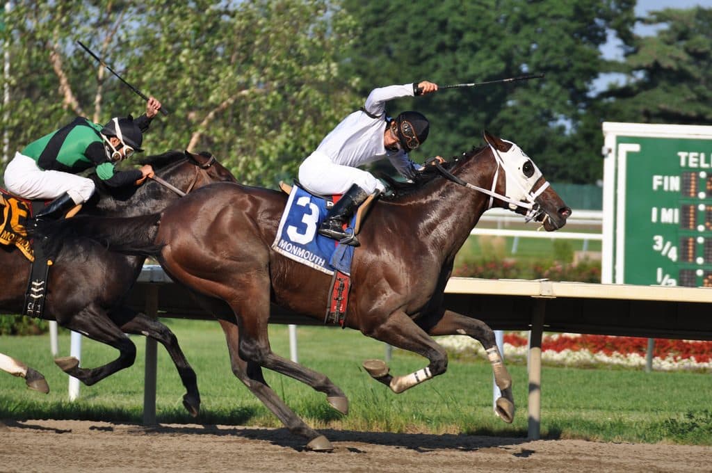 【きさらぎ賞2016予想】サトノダイヤモンド重賞もムチを使わずに勝てるのか？