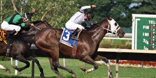 【きさらぎ賞2016予想】サトノダイヤモンド重賞もムチを使わずに勝てるのか？