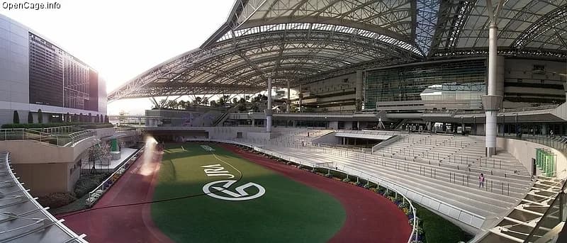 【3月19日（土）阪神6R】少頭数は少点数で仕留める！