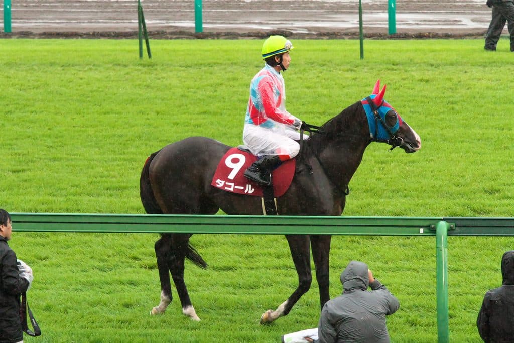 ダコール現役引退、南相馬市で乗馬に