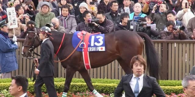 期待の3歳馬ショパン初勝利！偉大なる兄姉に追いつけるか。