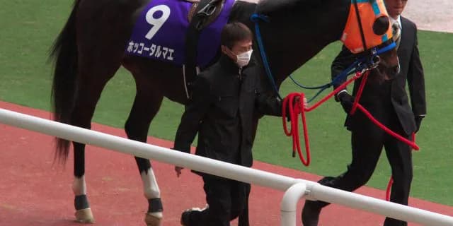 【フェブラリーS2016】ホッコータルマエ、サウンドトゥルー不在でも盛り上がり衰えず！