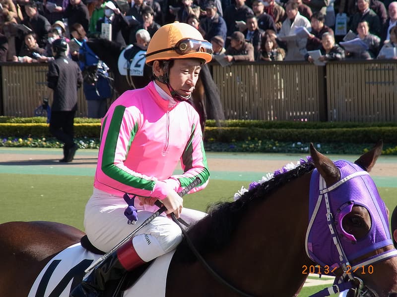 【ダイヤモンドS予想2016】長距離なら横山か