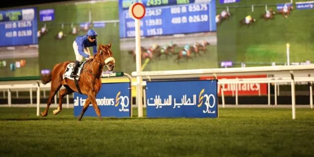 【ドバイワールドカップ2016】出し惜しみを一切感じさせない日本勢