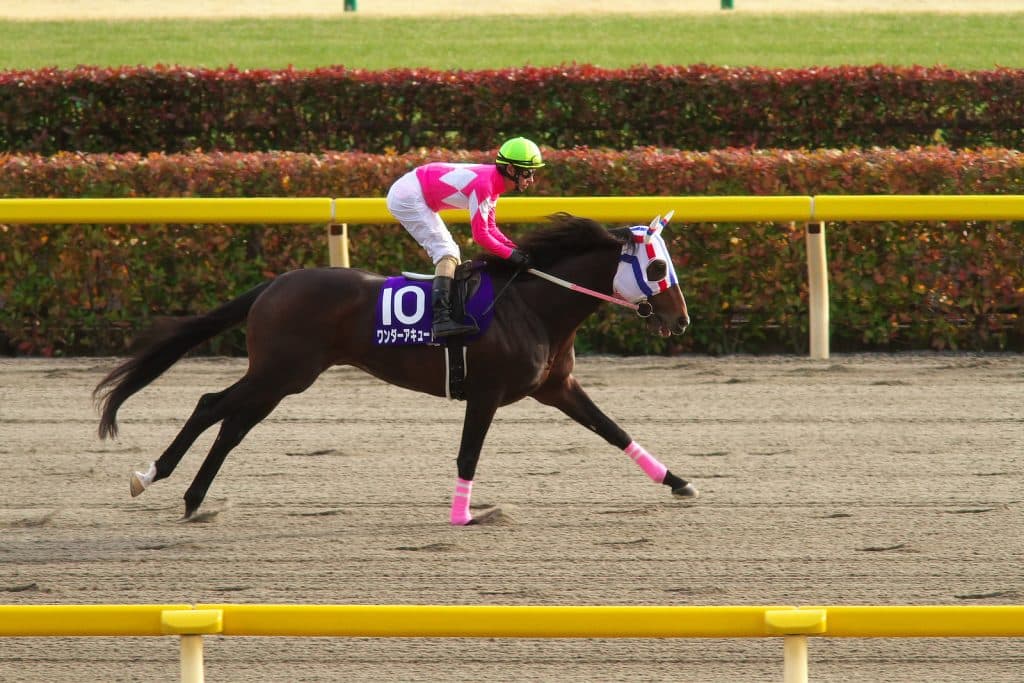 ワンダーアキュートが種牡馬入り！名馬カリズマティックの血を繋ぐ